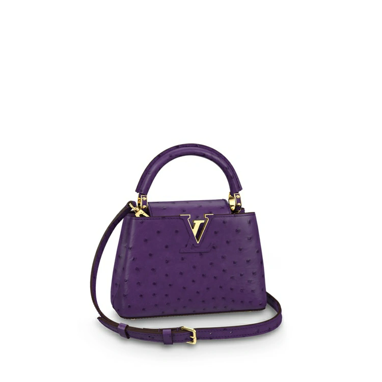 Capucines Mini Struts Läder i handväskor för kvinnor Exotiska läderväskor samlingar av Louis Vuitton